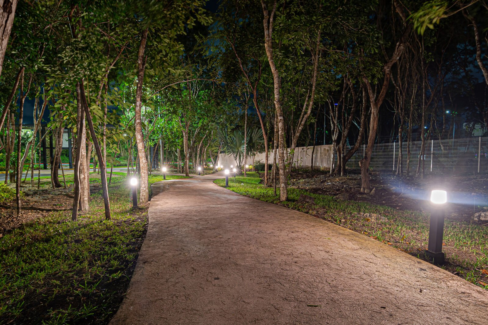 Ciclovía Interior — Almazara Residencial Playa del Carmen